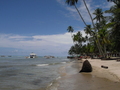 Praia dos Carneiros